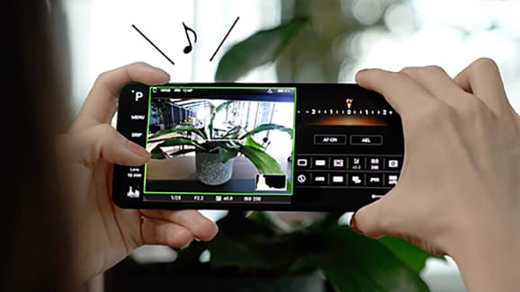 Shooting a plant using the photography app Photography Pro on the Xperia 1V.  A sound informing the user whether the Xperia's shooting screen is level with the subject.