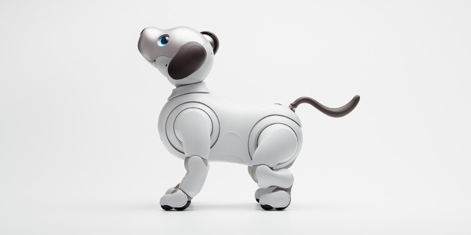 Product photo of aibo