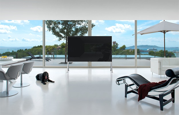 Image of the BRAVIA standing in a living room