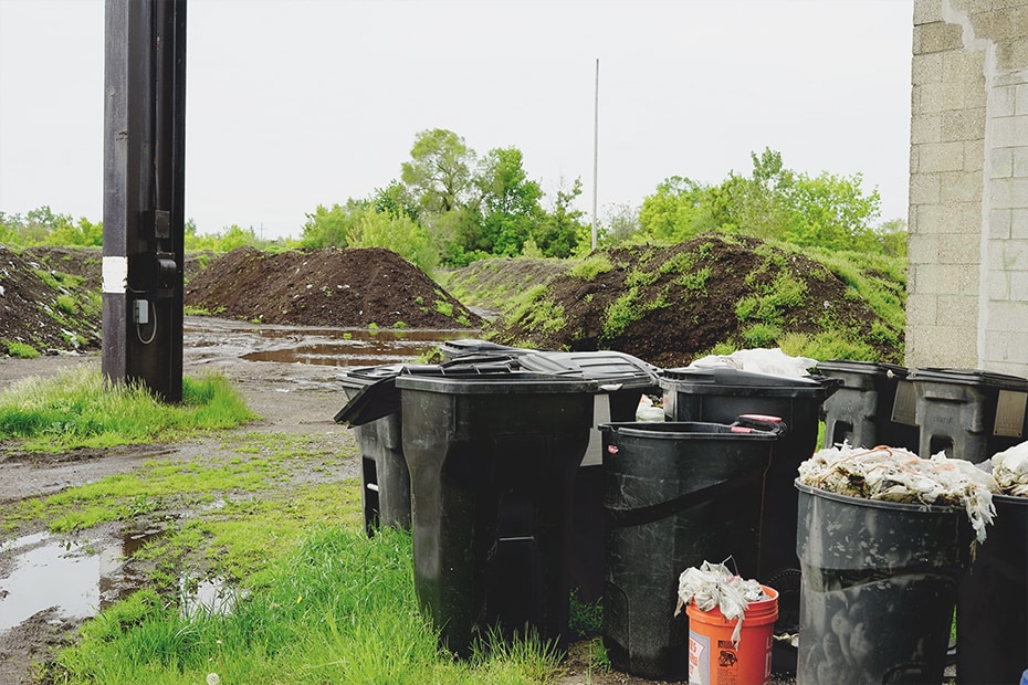 Photo of waste food collected by Detroit Dirt