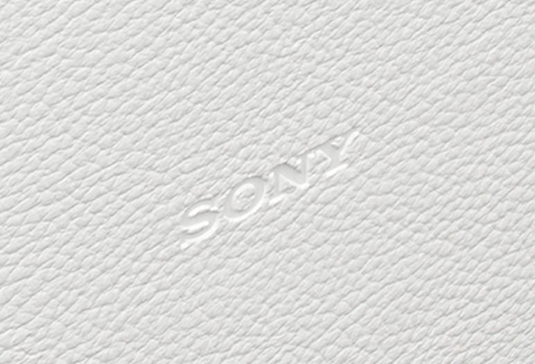 Photo of the leather texture