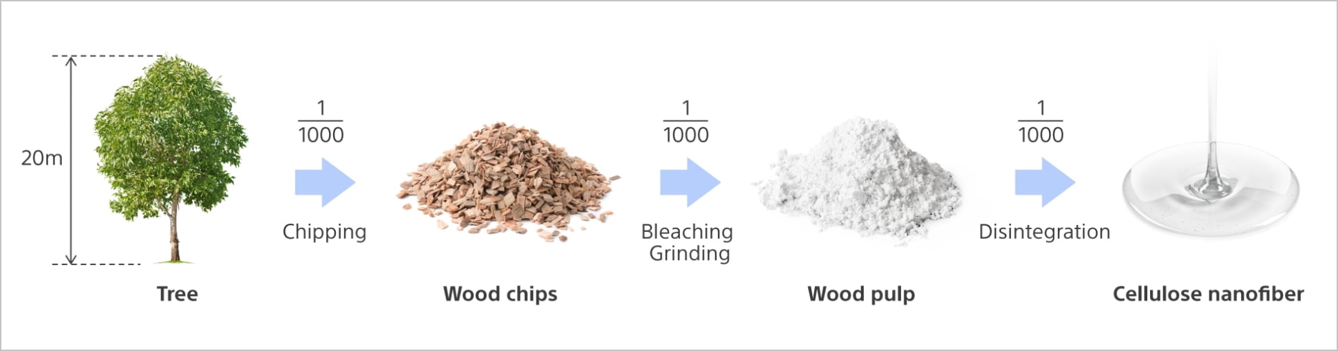 Image of cellulose nanofiber development