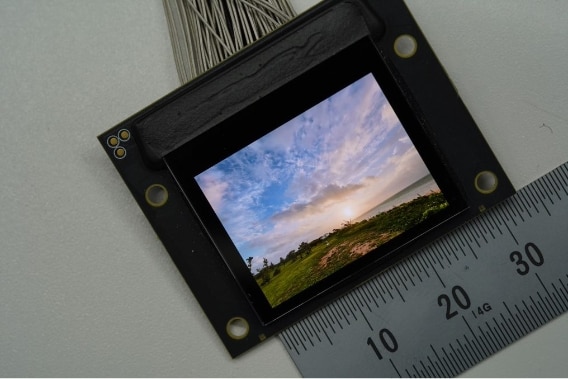 Image of OLED microdisplay