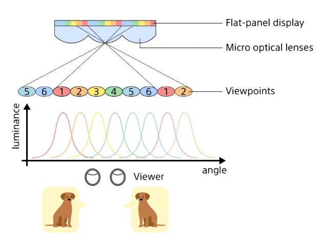 Schematic diagram of the micro-optical lens