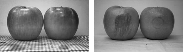 Image showing that the SWIR image sensor makes the particularly watery parts of the apple appear black.