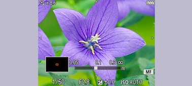 Picture of RX100 V The premium 1.0-type sensor compact camera with superior AF performance