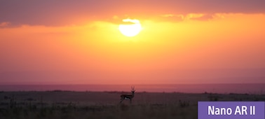 Example image showing view of plains near sunset