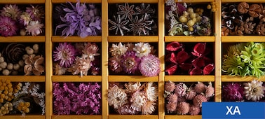 Example image showing a wooden display case filled with flowers of many colours