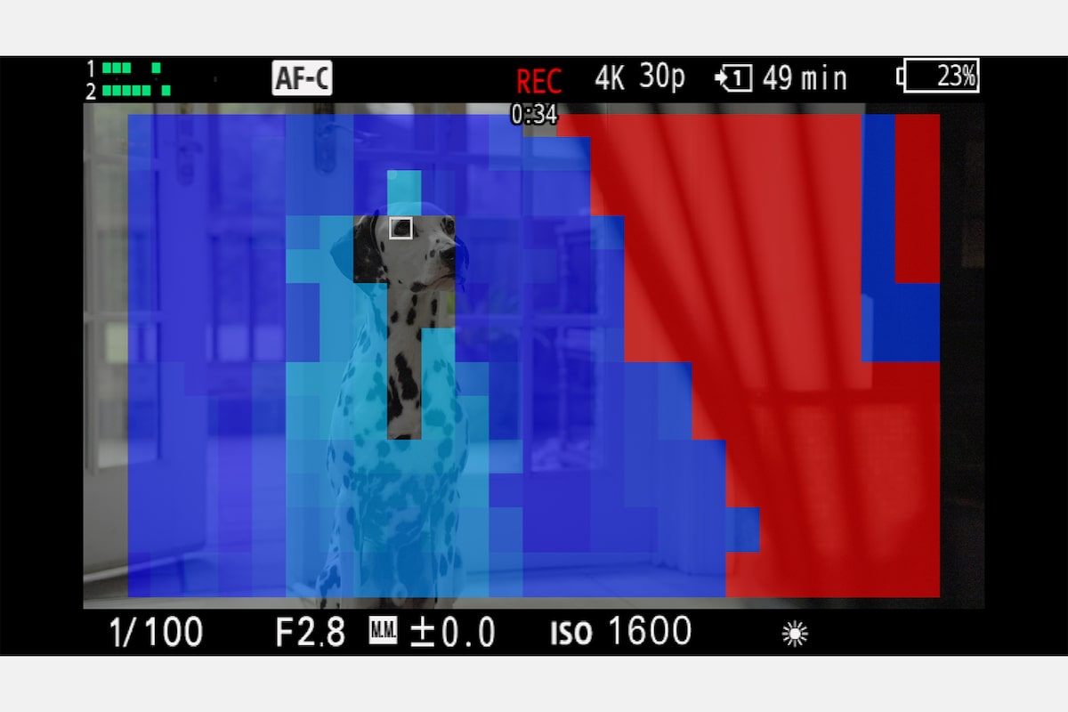 Camera monitor with Focus Map colours indicating depth of field