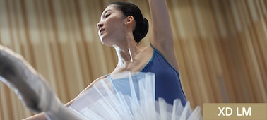 Example image showing a ballerina in a blue leotard and white tutu, striking a pose with one leg raised