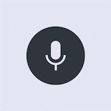 Voice control icon