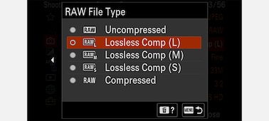 Product image showing the RAW Image selection menu on the LCD display