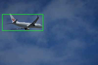 Example image showing subject type (air plane) recognisable by the camera’s AI