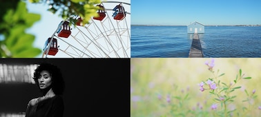 4 sample photos of Creative look: Ferris wheel, boathouse, portrait of a woman, macro of wildflowers