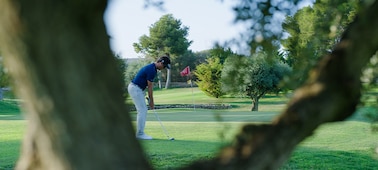 Example image of a golf player in focus with a tree trunk defocused in the foreground