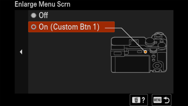 Image of camera display showing Enlarge Screen setting menu