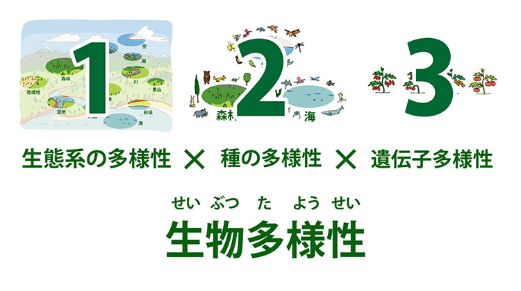 1 生態系の多様性×2 種の多様性×3 遺伝子多様性 生物多様性